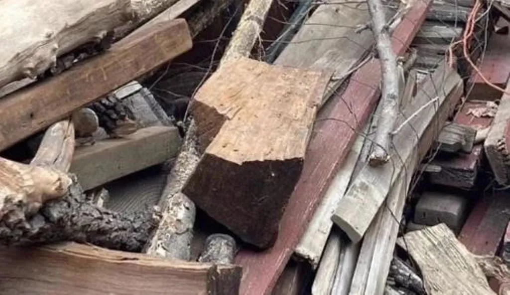 खोजो तो जानें: अपनी स्मार्टनेस का करें टेस्ट, इस फोटो में छिपी बिल्ली को 5 सेकंड में खोजिए  