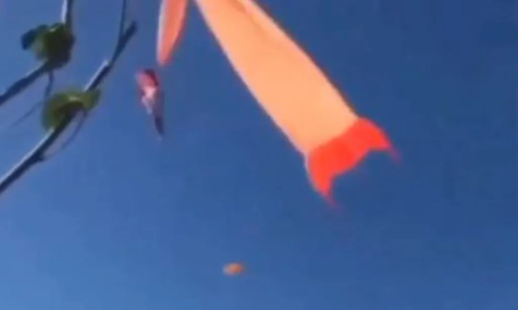 VIRAL VIDEO: पतंग के साथ हवा में उड़ गया मासूम, वीडियो देख दहल जाएगा दिल  