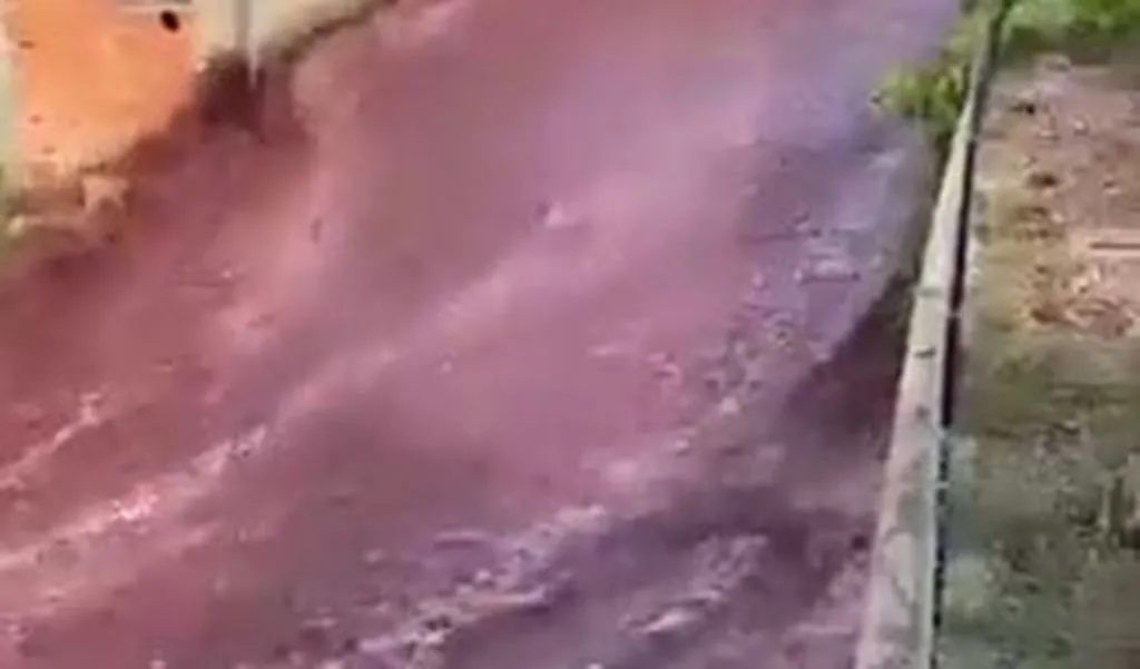 VIRAL VIDEO: सड़क पर अचानक बहने लगी लाल रंग की नदी, वीडियो देखकर यूजर्स हैरान 
