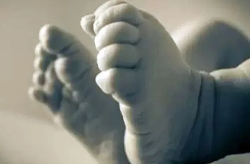 बरेली: कूड़ा घर में नवजात को फेंका...कुत्तों ने नोंचा, आरोपियों की तलाश में जुटी पुलिस