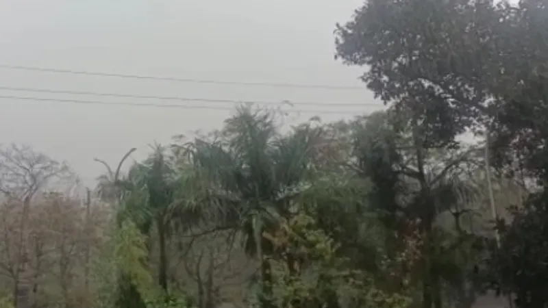 लखनऊ : बारिश से तापमान में आई गिरावट, फसलों को हुआ नुकसान  