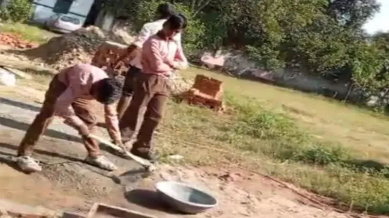 हरदोई के संविलियन विद्यालय में मजदूर नहीं छात्रों से बनवाया जा रहा ट्री-गार्ड  