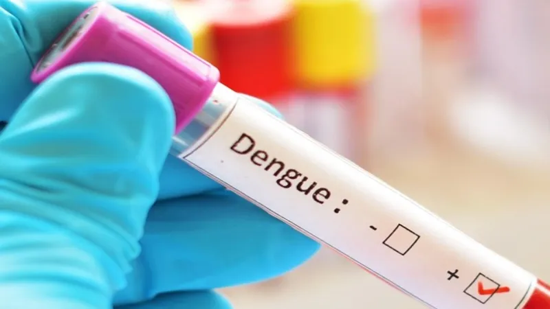 हरदोई में तेज रफ्तार से बढ़ रहा डेंगू, CO सण्डीला,शाहाबाद और इंस्पेक्टर पाली भी जांच में मिले पॉजिटिव 