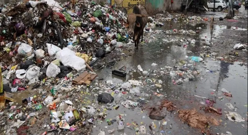 गरमपानी: खैरना में बजबजा रही गंदगी से संक्रामक बिमारी फैलने का खतरा