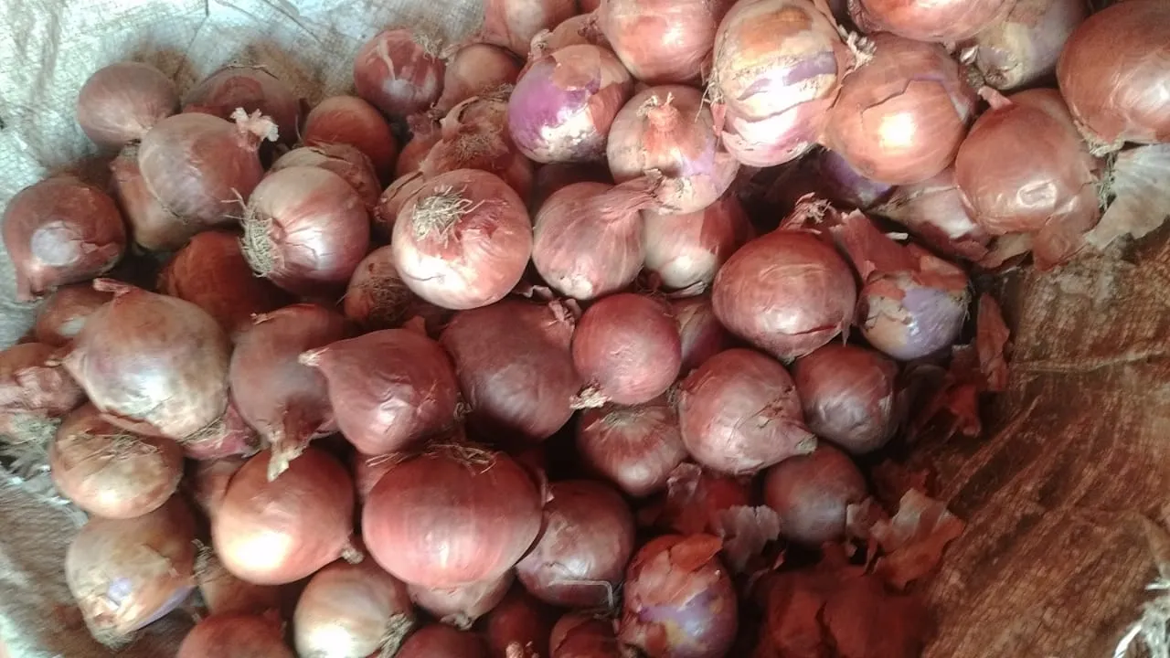 बरेली: अब प्याज के सिर महंगाई का ताज, लोगों ने कम किया खाना