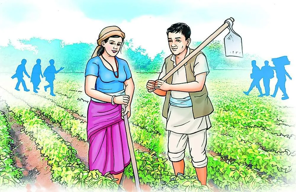 बरेली: कृषि गणना में खराब स्थिति से जिले की छवि हो रही खराब, शासन ने जताई चिंता