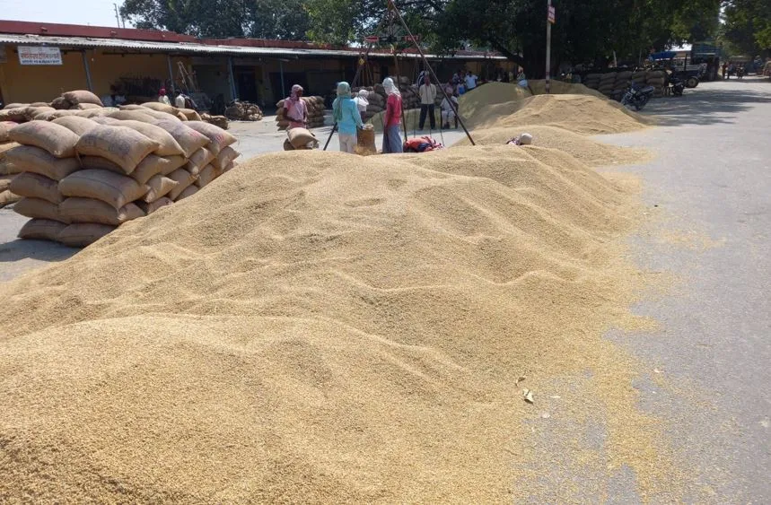 शाहजहांपुर: रोजा मंडी में धान बेचने वाले किसानों को आठ करोड़ की चपत