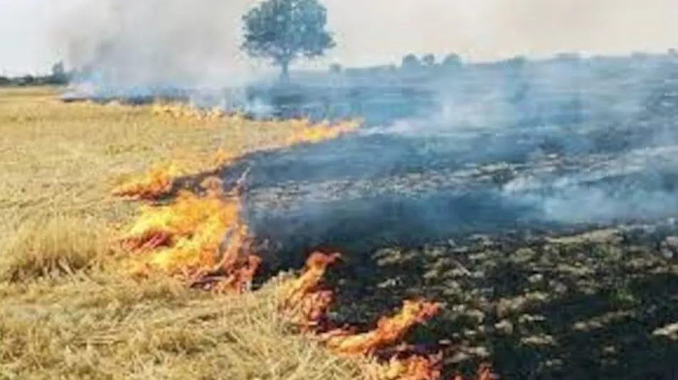 बरेली: सेटेलाइट से किसानों पर नजर, पराली जलाई तो होगी कार्रवाई