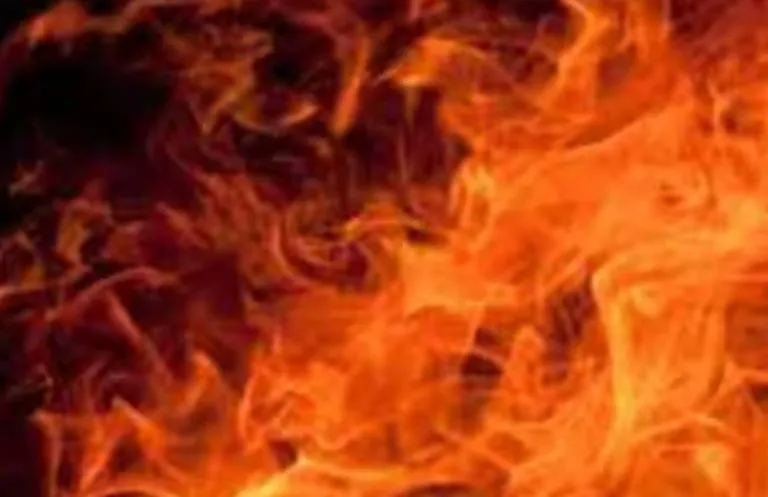 शाहजहांपुर: गन्ने के खेत में आग बुझाने के दौरान वृद्ध की जलकर मौत