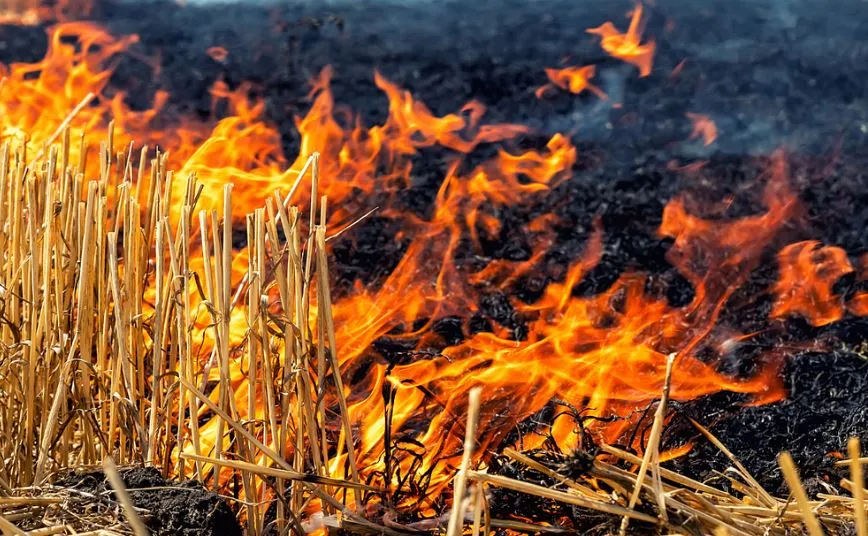 बरेली: पराली जलाना पड़ा महंगा, 10 किसानों पर रिपोर्ट दर्ज