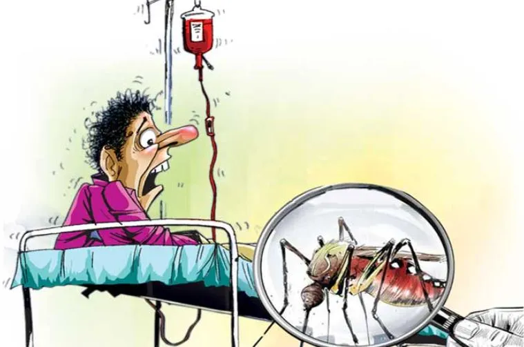 बरेली: मलेरिया के मरीजों की संख्या पहुंची तीन हजार पार, डेगू के आंकड़ों ने लगाया दोहरा शतक