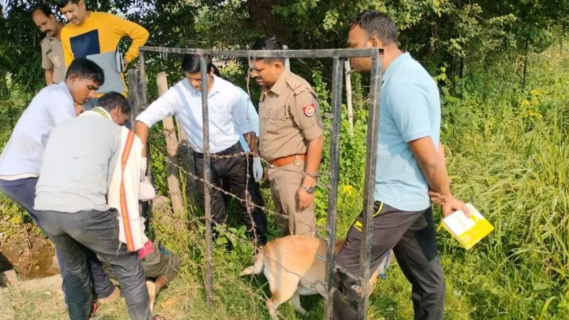 Banda News: संदिग्ध परिस्थितियों में अधेड़ की मौत, पत्नी ने हत्या का लगाया आरोप, जांच में जुटी पुलिस
