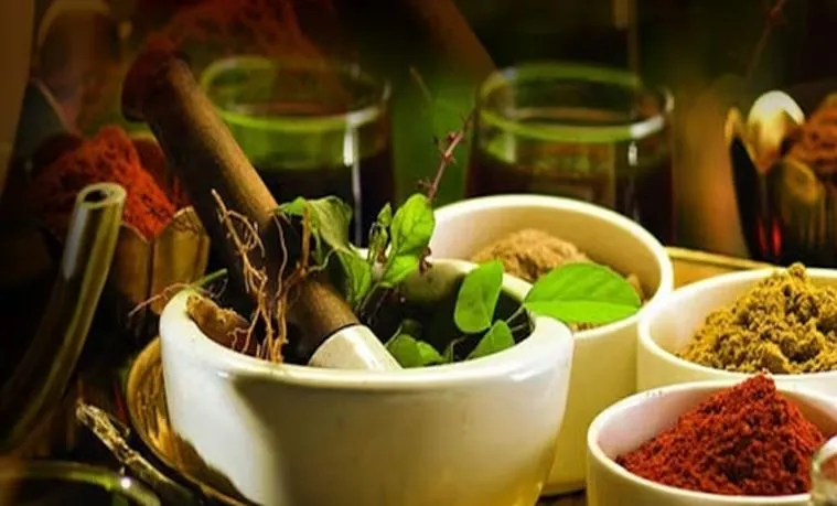 आयुर्वेद शिखर सम्मेलन में प्रतिभागियों ने कहा- समय की मांग है चिकित्सा प्रणालियों का एकीकरण 