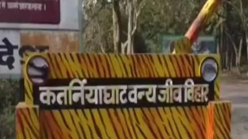 बहराइच: अज्ञात वाहन की टक्कर से दो चीतल की मौत, इंट्री रजिस्टर से वाहनों की होगी जांच