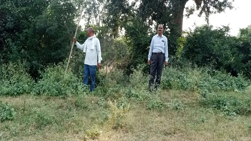 अयोध्या: ग्रामीणों में तेंदुए की दहशत, वन विभाग बोला जंगली बिल्ली