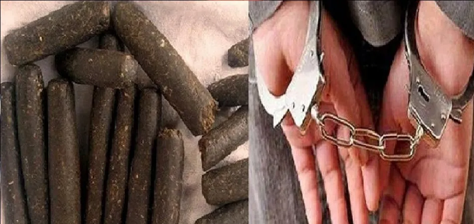 नैनीताल: दो किलो चरस के साथ धानाचूली में युवक गिरफ्तार