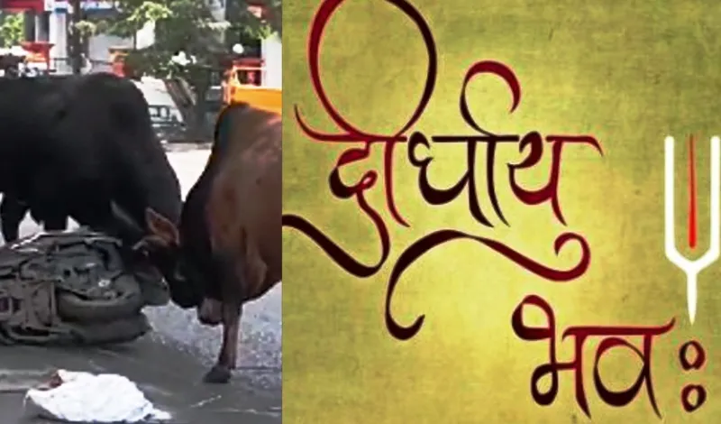 हल्द्वानी: Video - यहां हर मोड़ पर यमराज, नारायण आंखे मूंदे...पर हे पार्थ! तुम्हें अपनी आंखे खुली रखनी होंगी