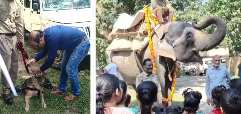 रामनगर: भव्य समारोह में दी गोमती व ब्रान्डी को विदाई 