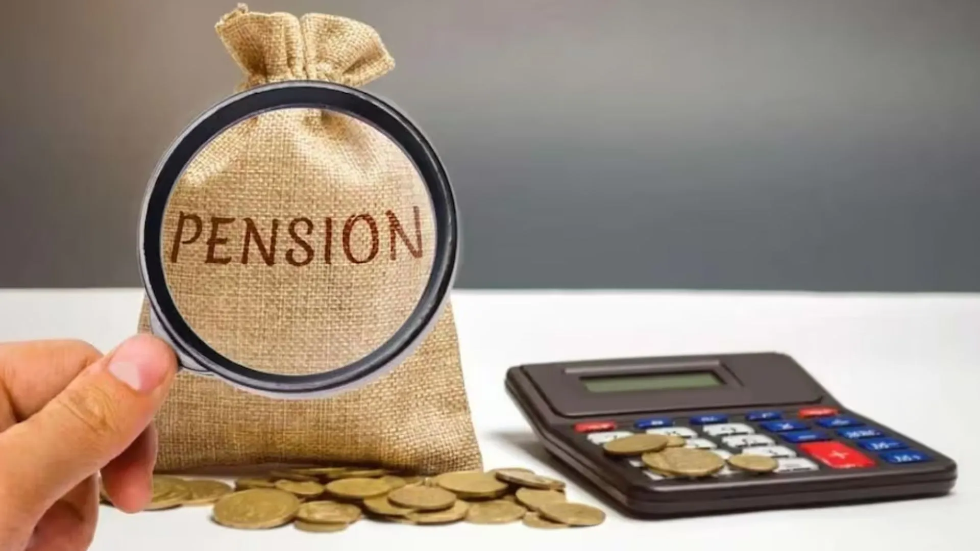 पीलीभीत: पुरानी पेंशन बहाली को लेकर भरी हुंकार, लखनऊ धरने में शामिल हुए पीलीभीत के 400 शिक्षक, 17 अन्य मांगें भी शामिल, जानिए मामला