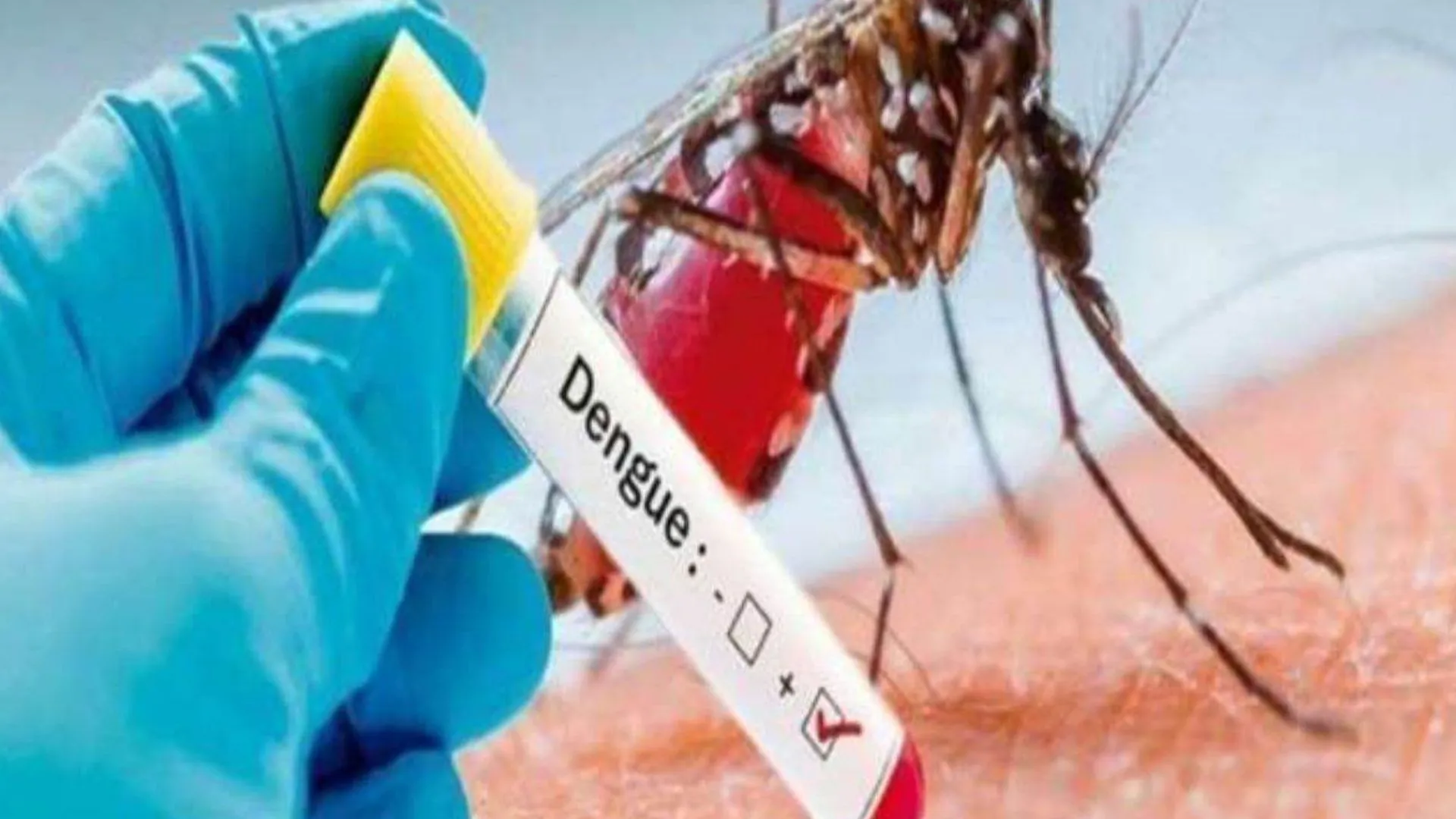 बरेली: डेंगू और टाइफाइड की चपेट में गांव के दर्जनों लोग