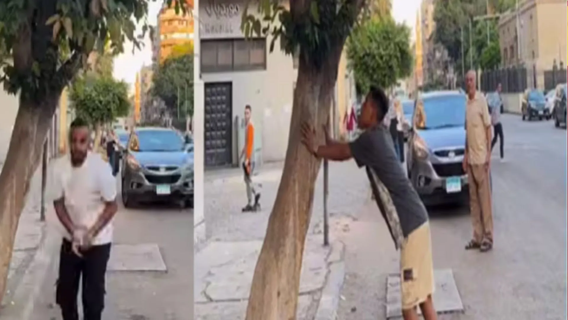 पेड़ से नोटों की होने लगी बरसात, Video को देख रह जाएंगे हक्के-बक्के