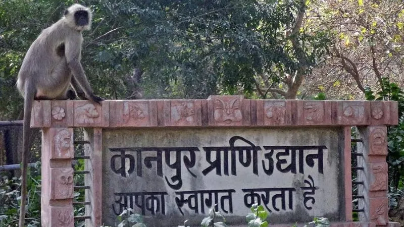 Kanpur Zoo: मादा गैंडा मानू् ने तीसरे बच्चे को दिया जन्म… आठ साल बाद हुई थी गर्भवती, पैदा होते ही मां की गोद में खेलने लगा