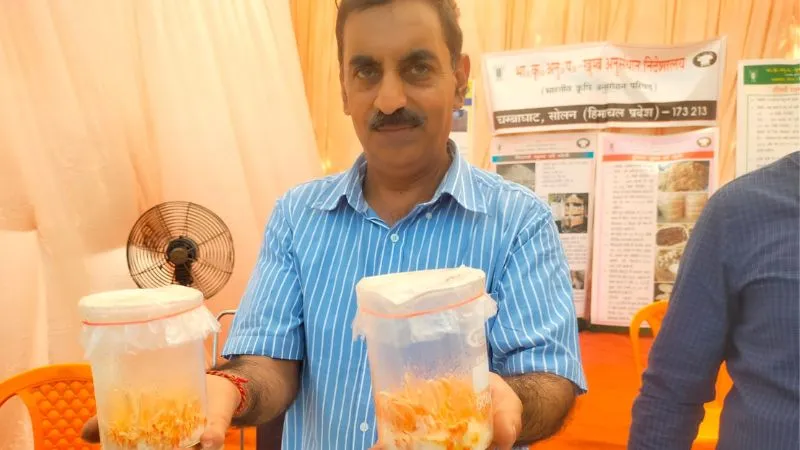 Kanpur News: किसान मेले में आया लखटकिया मशरूम, देखकर हर कोई हुआ हैरान, CSA में लगी कृषि उद्योग प्रदर्शनी