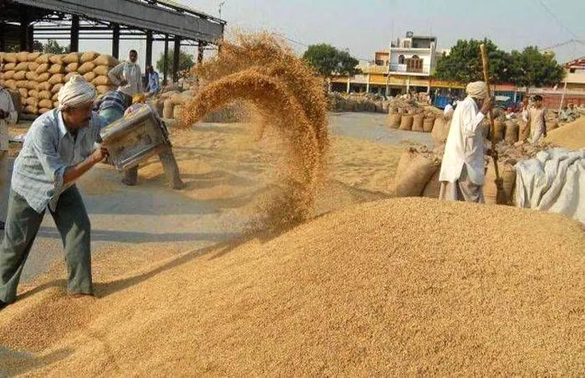 रुद्रपुर: आरएफसी से वार्ता के बाद राइस मिलर्स धान खरीदने को हुए तैयार