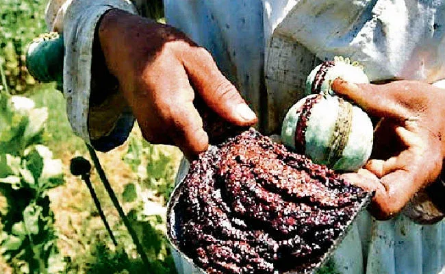 रुद्रपुर: तीन किलो अफीम के साथ दो सौदागर गिरफ्तार, लग्जरी कार से करते थे सप्लाई