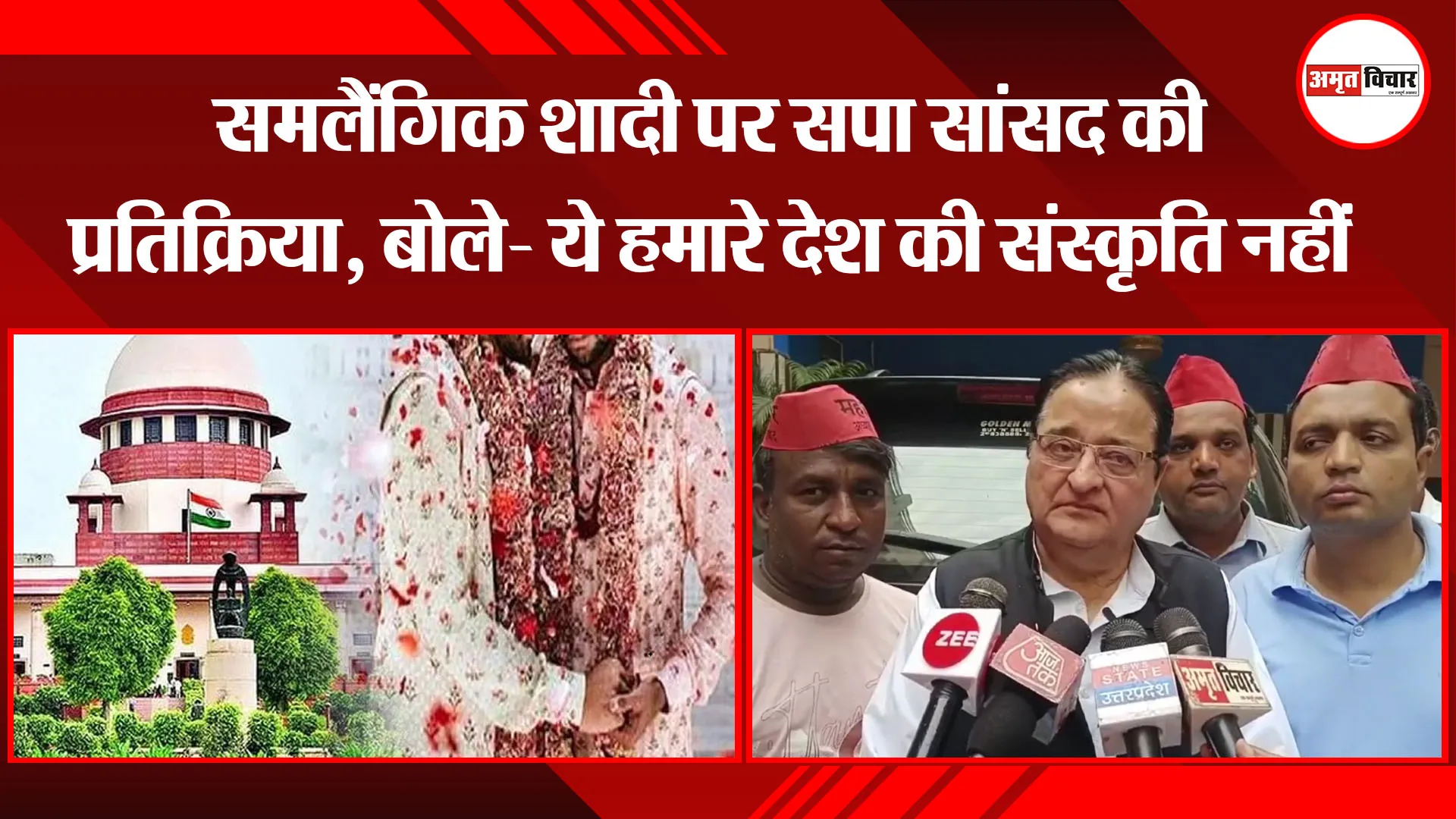 मुरादाबाद: समलैंगिक शादी पर सपा सांसद की प्रतिक्रिया, बोले- ये हमारे देश की संस्कृति नहीं