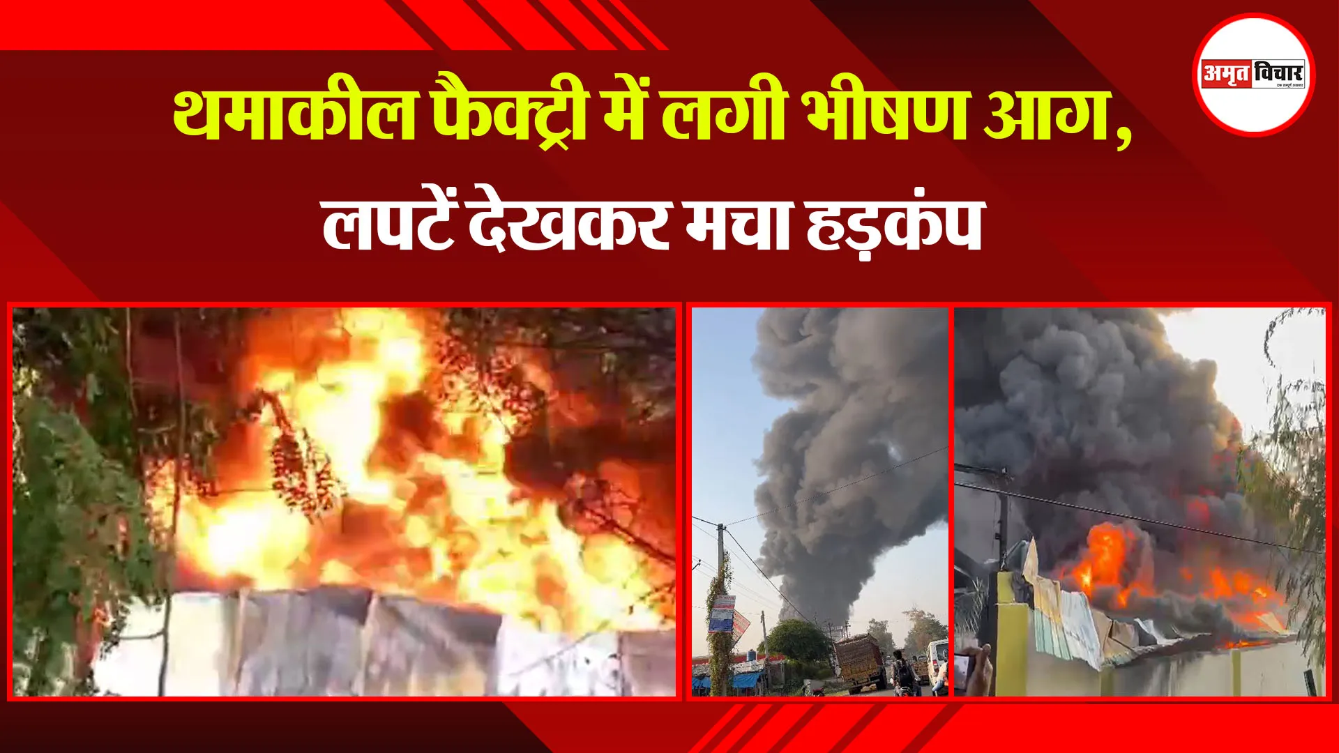 मुरादाबाद: थर्माकोल फैक्ट्री में लगी भीषण आग, लपटें देखकर मचा हड़कंप
