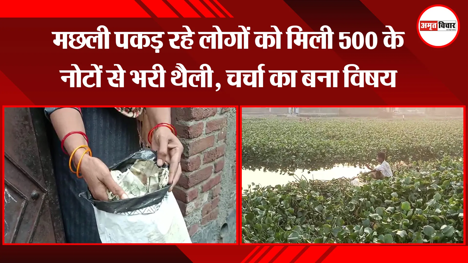मुरादाबाद: मछली पकड़ रहे लोगों को मिली 500 के नोटों से भरी थैली, चर्चा का बना विषय 