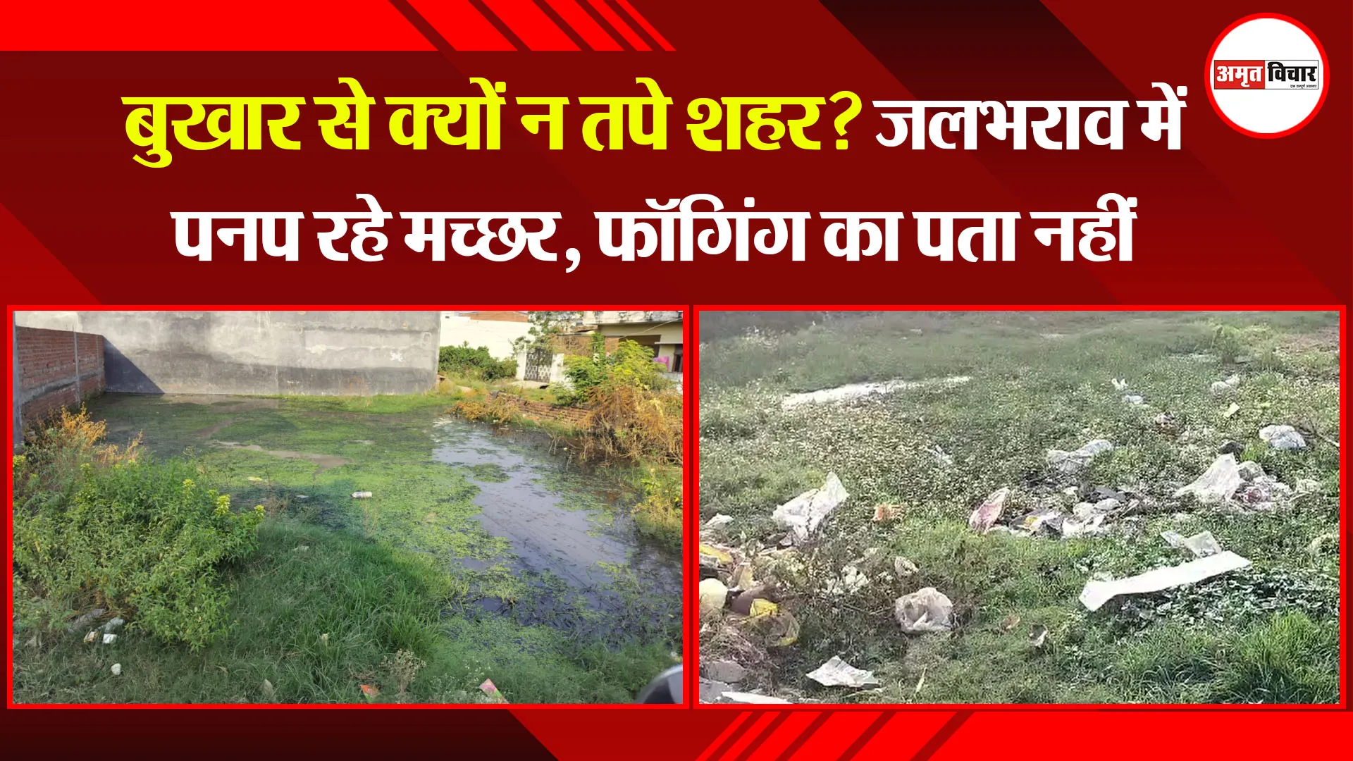 बरेली: बुखार से क्यों न तपे शहर? जलभराव में पनप रहे मच्छर, फॉगिंग का पता नहीं