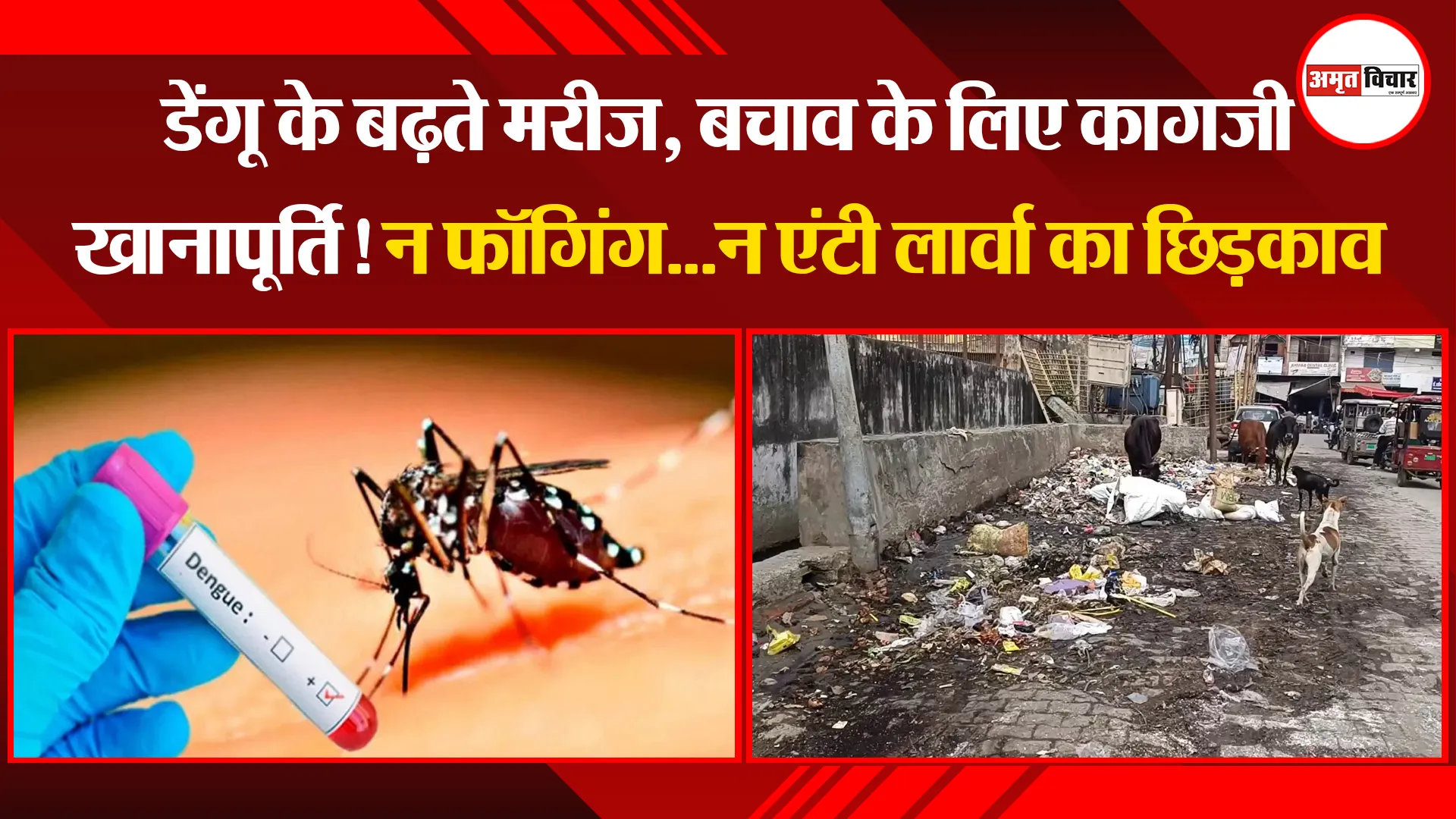 मुरादाबाद: डेंगू के बढ़ते मरीज, बचाव के लिए कागजी खानापूर्ति! न फॉगिंग...न एंटी लार्वा का छिड़काव