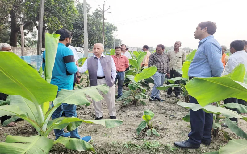 बहराइच: इफको के विपणन निदेशक ने किसानों के खेतों का किया निरीक्षण, दी यह सलाह