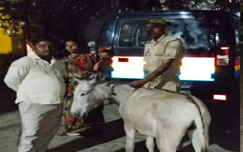 आगरा के पिनाहट थाने में आया गजब का मामला, दो गधों को लेकर घंटों चली बहस, लगी चौपाल, यह है मामला