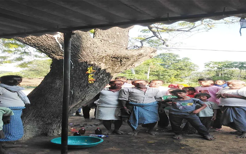 बाराबंकी: काम पर निकले राजगीर का पेड़ से लटकता मिला शव, हत्या की आशंका, हड़कंप