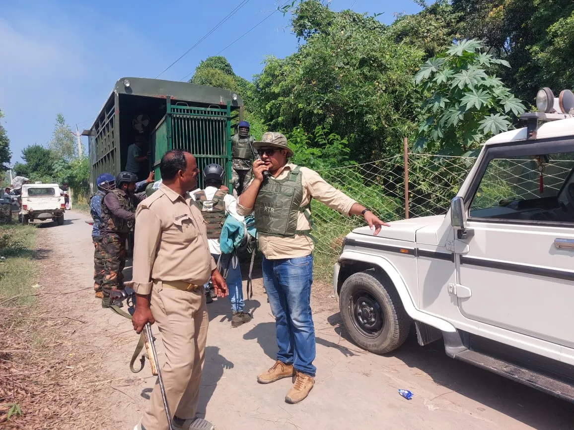 पीलीभीत: 12 घंटे चला रेस्क्यू...डॉट लगने के बाद भी पकड़ में नहीं आया बाघ, जानिए पूरा मामला 