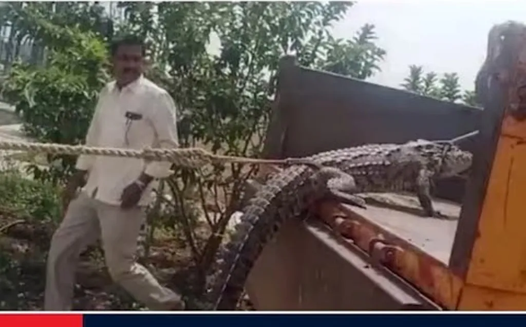 कर्नाटक में बिजली कटने से परेशान किसान विद्युत कार्यालय में मगरमच्छ लेकर पहुंचे 