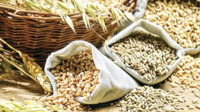 Kanpur: होटल, रेस्टोरेंट में मोटे अनाज के व्यंजन होंगे जरूरी, प्रदेश सरकार के निर्देश पर शहर में भाजपा नेतृत्व ने शुरु की मुहिम