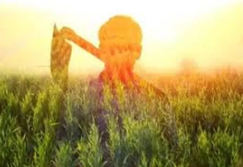 मुरादाबाद : सहकारी समितियों के सदस्य बनने के लिए 34 हजार किसानों ने किया आवेदन, मिलेगा फायदा