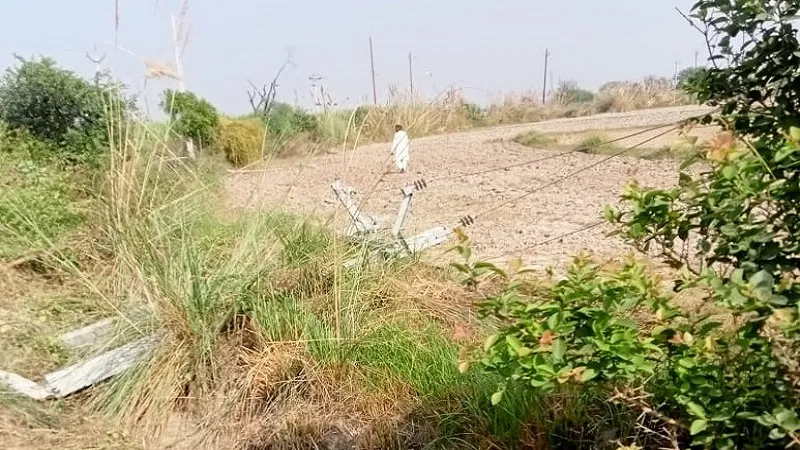 संभल: खेत की जुताई करते समय करंट से झुलसे दो किसान, हालत गंभीर