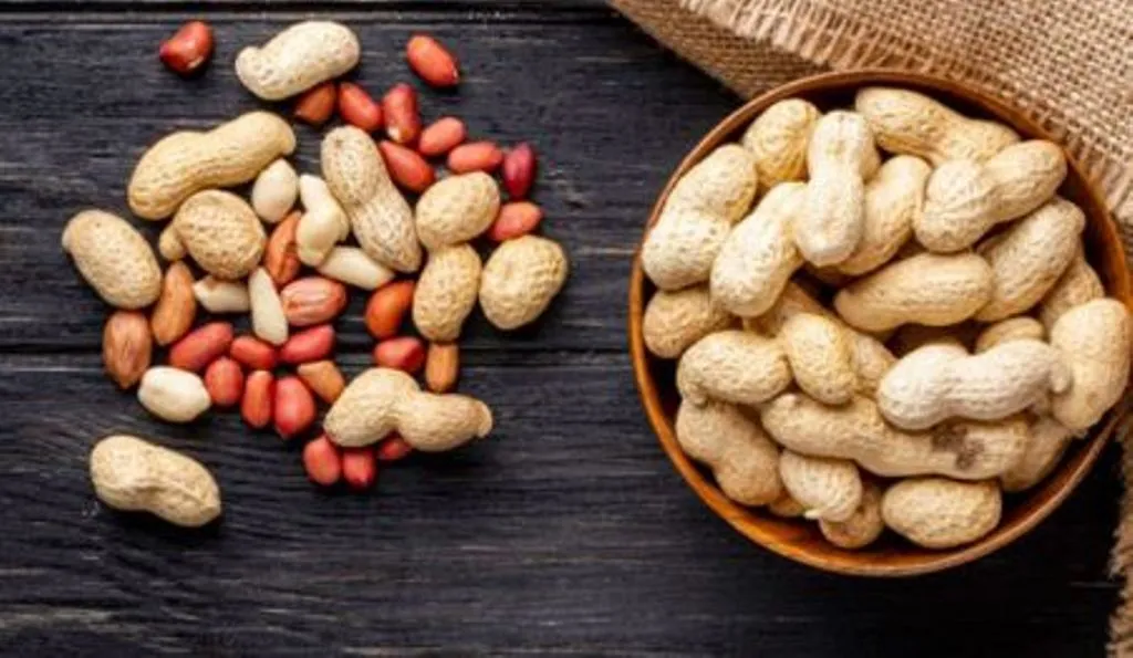सेहत के लिए बेहद फायदेमंद है मूंगफली, जानें इसे खाने के कमाल के फायदे 
