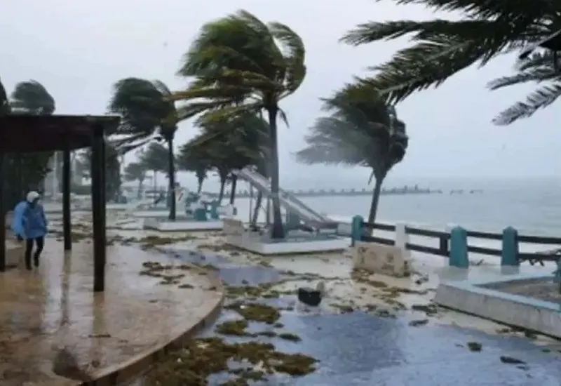 Mexico : चक्रवात 'ओटिस' से मरने वालों की संख्या 48 हुई, 36 लापता...तलाश-बचाव अभियान जारी 