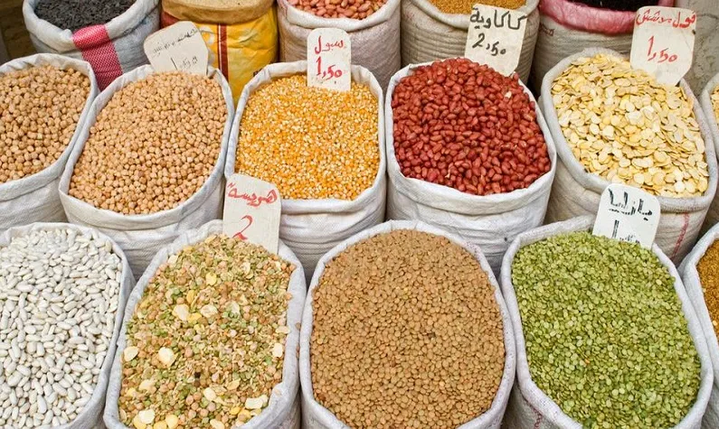 मुरादाबाद : मोटे अनाज को लेकर किसानों को किया जा रहा जागरूक, 495 लोगों को दी गई मिनी किट