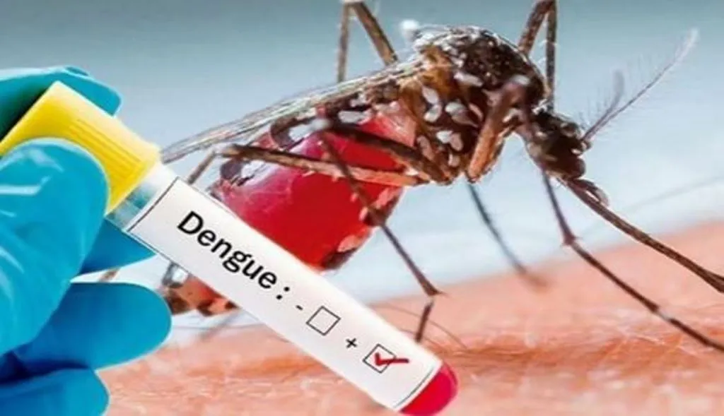 डेंगू का डंक: ...फिर महिला समेत तीन की मौत, तीन दिन में 22 की गई जान