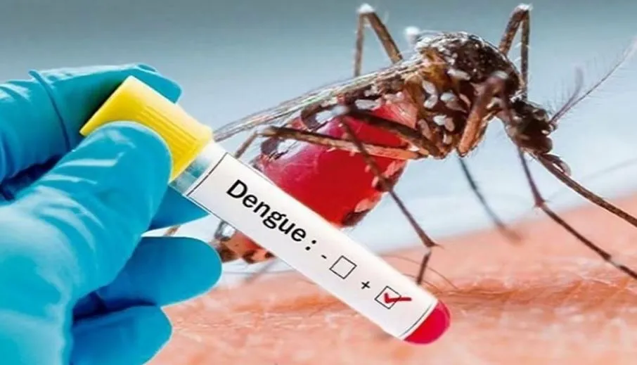 बरेली: जिले में डेंगू का कहर जारी, मरीजों की संख्या आठ सौ के पार