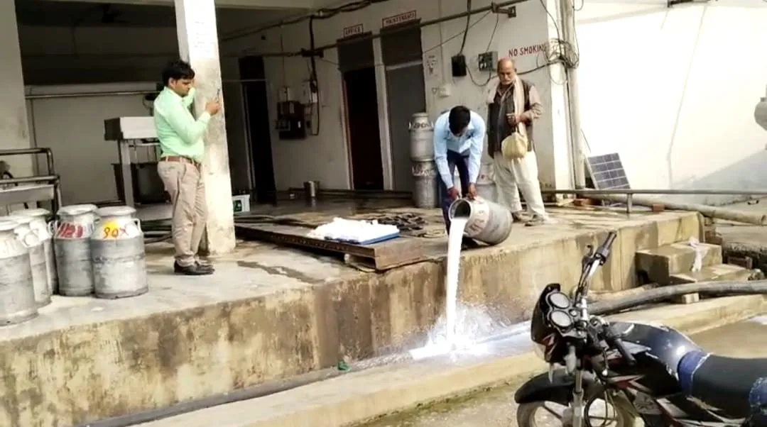 बरेली: दूध में केमिकल मिलने पर विभाग ने कराया नष्ट, जल्द होगी कार्रवाई
