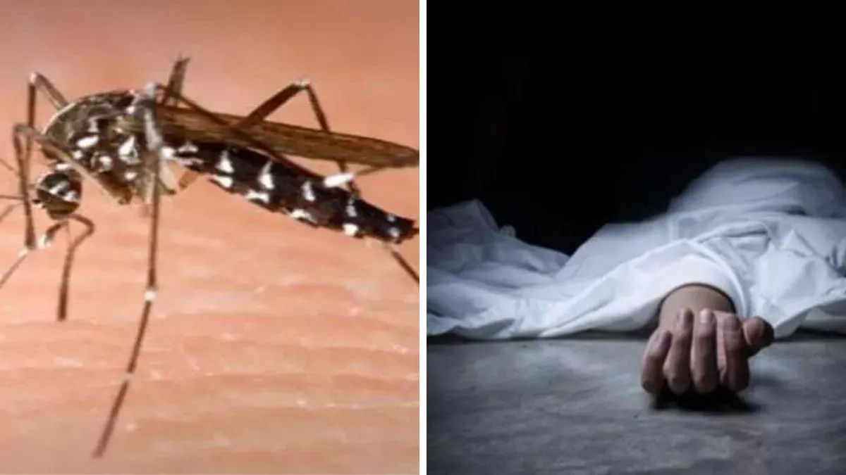 अमरोहा: बुखार से बच्चे समेत दो की मौत, मिले डेंगू के 13 मरीज 