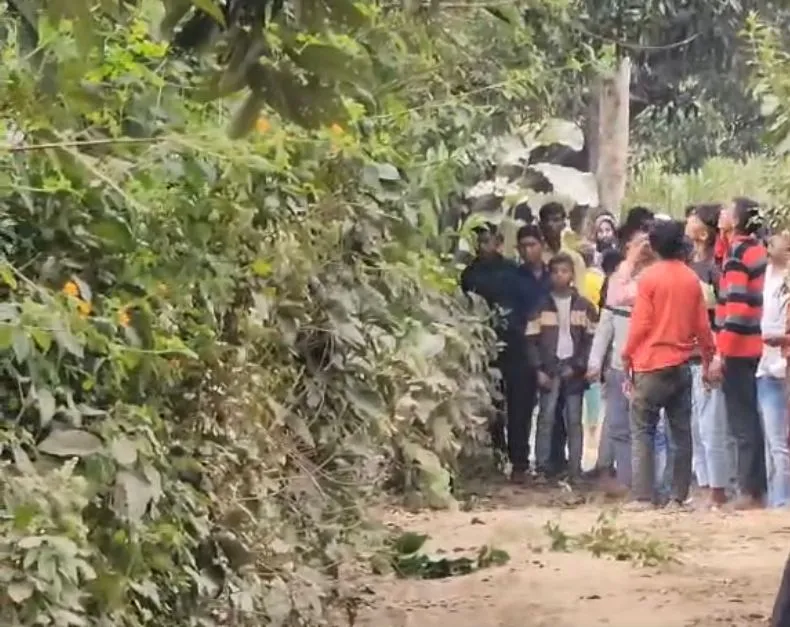 पीलीभीत: वाह रे वन विभाग...ग्रामीण बोले - पिपरिया में बाघ, टीम नवदिया से करती रही निगरानी!